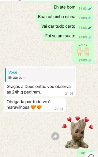 Print de conversa de WhatsApp de um tutor com a RAD (3 de 12)