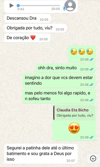 Print de conversa de WhatsApp de um tutor com a RAD (5 de 12)