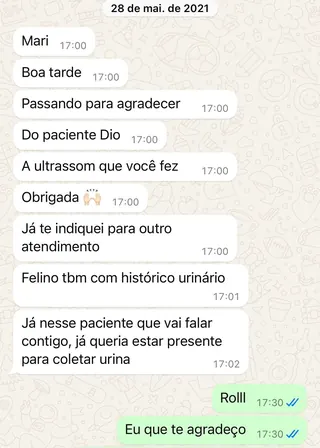 Print de conversa de WhatsApp de um tutor com a RAD (6 de 12)