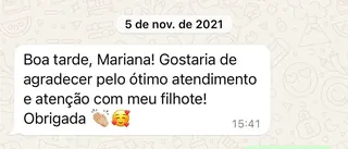 Print de conversa de WhatsApp de um tutor com a RAD (7 de 12)