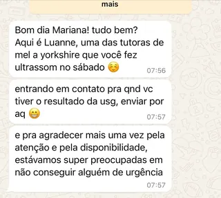 Print de conversa de WhatsApp de um tutor com a RAD (8 de 12)