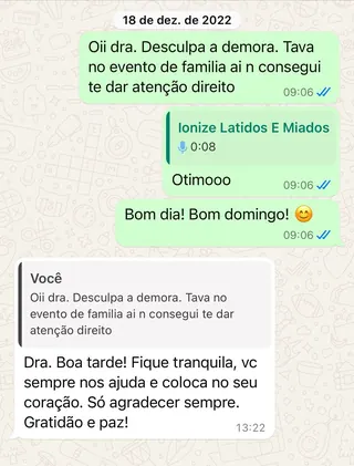 Print de conversa de WhatsApp de um tutor com a RAD (9 de 12)
