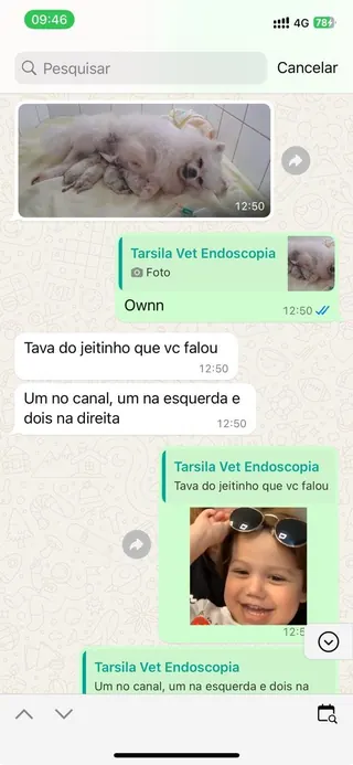 Print de conversa de WhatsApp de um tutor com a RAD (12 de 12)